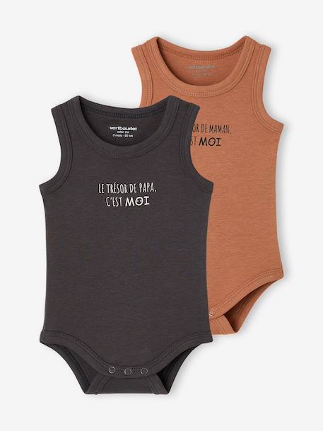 Bébé-Lot de 2 bodies garçon coton biologique