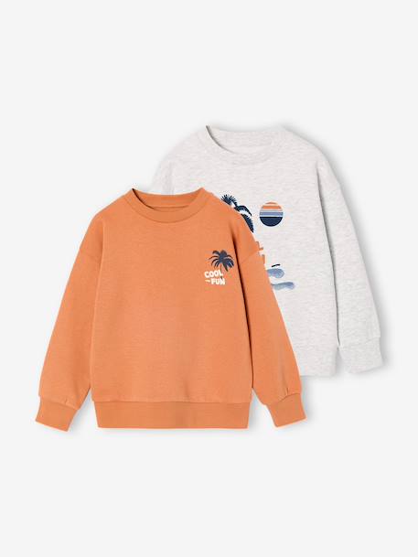 Lot de 2 sweats 'Cool and Fun' terracotta+tomette - vertbaudet enfant 