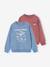 Lot de 2 sweats 'Cool and Fun' terracotta+tomette - vertbaudet enfant 