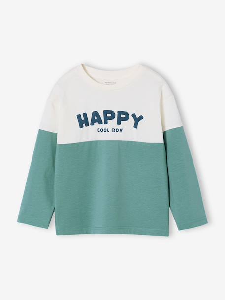 Sweater met lange mouwen met kleurblokken blauwgroen - vertbaudet enfant 