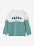 Sweater met lange mouwen met kleurblokken blauwgroen - vertbaudet enfant 