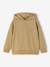 Sweater met capuchon jongen katoen komijn - vertbaudet enfant 