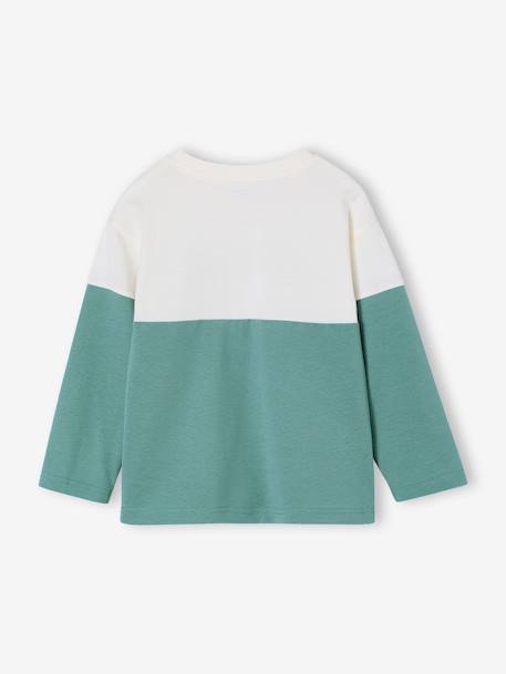 Sweater met lange mouwen met kleurblokken blauwgroen - vertbaudet enfant 