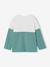 Sweater met lange mouwen met kleurblokken blauwgroen - vertbaudet enfant 