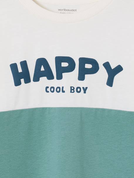 Sweater met lange mouwen met kleurblokken blauwgroen - vertbaudet enfant 