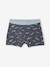 Set van 5 boxershorts auto F1 antraciet - vertbaudet enfant 
