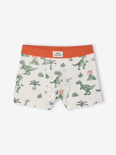 Lot 5 boxers dino encre - vertbaudet enfant 