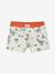 Lot 5 boxers dino encre - vertbaudet enfant 