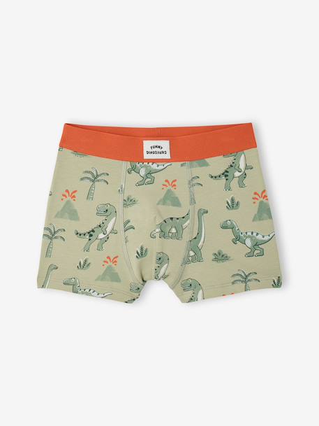Lot 5 boxers dino encre - vertbaudet enfant 