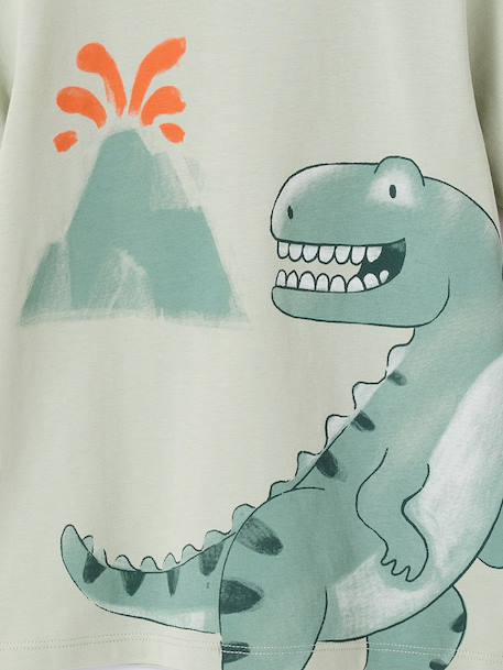 Lot 2 pyjashort garçon dinosaure vert sauge - vertbaudet enfant 