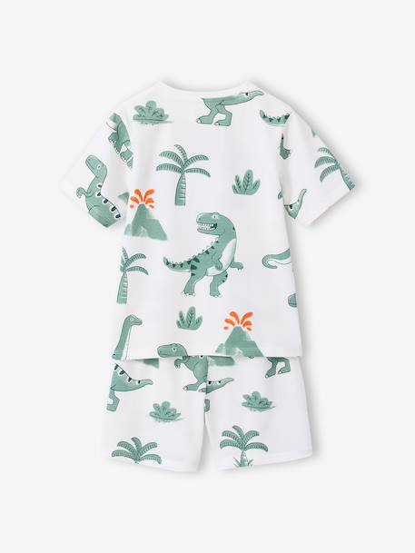 Lot 2 pyjashort garçon dinosaure vert sauge - vertbaudet enfant 