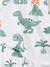 Lot 2 pyjashort garçon dinosaure vert sauge - vertbaudet enfant 