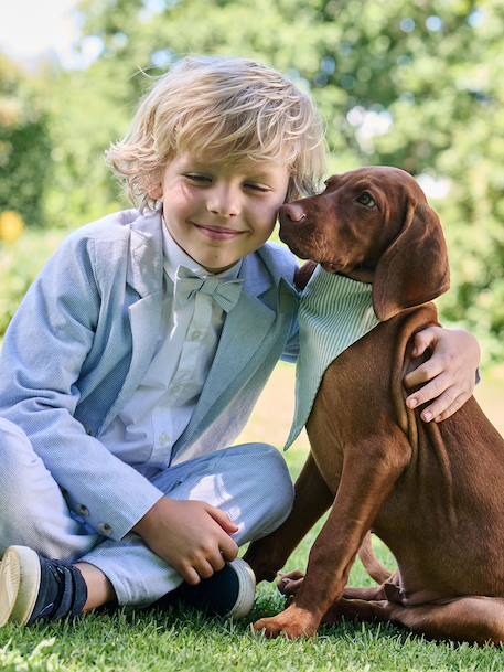 Bandana chien coton rayé vert sauge - vertbaudet enfant 