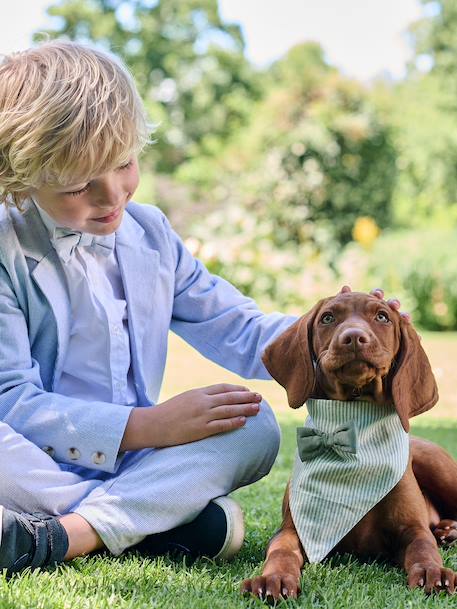 Bandana chien coton rayé vert sauge - vertbaudet enfant 