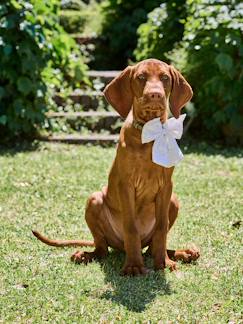 -Noeud coton broderie animal