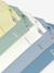 Lot 5 bodies coton Petit Bateau blanc - vertbaudet enfant 