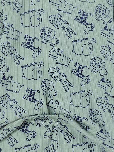 Pyjama garçon jungle vert sauge - vertbaudet enfant 
