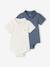 Set van 2 newborn rompertjes met polokraag met zakje ecru+hemelsblauw - vertbaudet enfant 