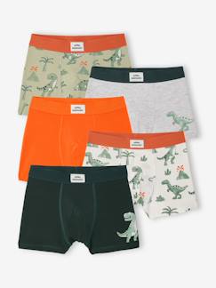 -Lot 5 boxers dino
