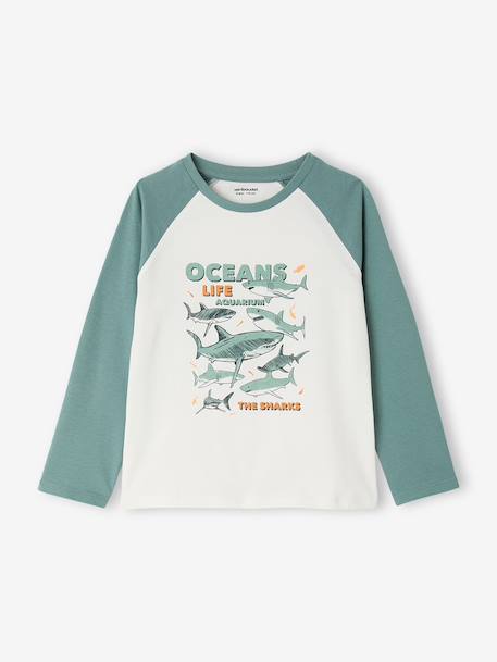 Lot de 2 pyjamas garçon en coton vert émeraude - vertbaudet enfant 