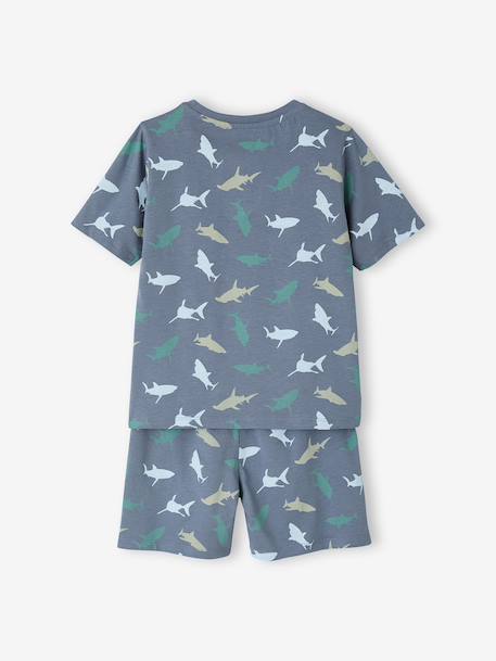 Set van 2 pyjama's voor jongens van katoen smaragdgroen - vertbaudet enfant 