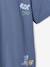 Lot 2 T-shirt manches courtes bleu grisé - vertbaudet enfant 