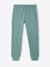 Lot de 2 pyjamas garçon en coton vert émeraude - vertbaudet enfant 