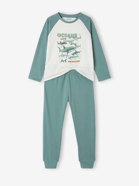 Lot de 2 pyjamas garçon en coton vert émeraude - vertbaudet enfant 