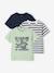 Lot 3 T-shirts manches courtes bleu pétrole+caramel+marine+noix de pécan+vert amande+vert sauge - vertbaudet enfant 