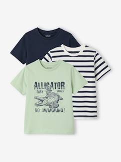 -Set van 3 T-shirt met korte mouwen