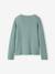 Gilet fille marine+vert sauge - vertbaudet enfant 