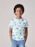 T-shirt voor jongens met print gemêleerd wit+jeansblauw+korstmos+mintgroen - vertbaudet enfant 