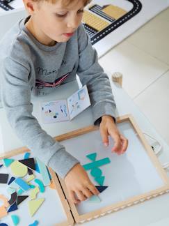 Speelgoed-Educatief speelgoed-Vormen, kleuren en verbanden-Magnetische koffer geometrische vorm