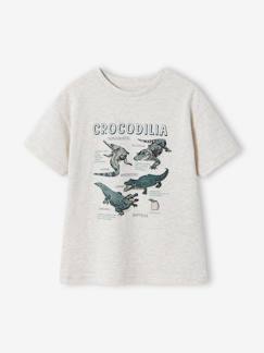 -T-shirt manches courtes garçon