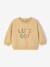 Sweat bébé garçon manches longues cappuccino - vertbaudet enfant 