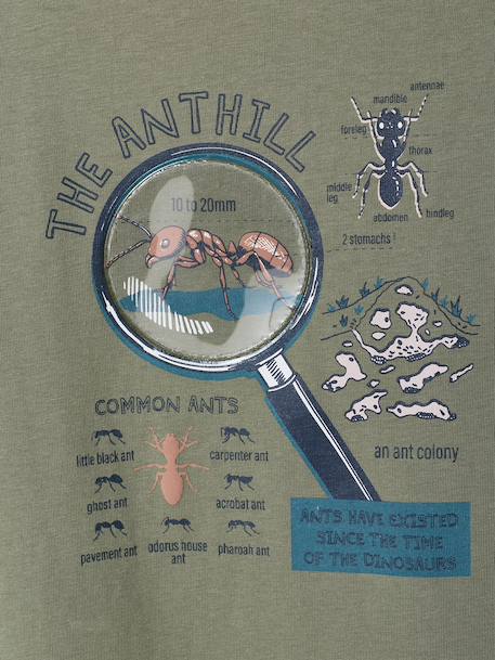 T-shirt manches courtes garçon blanc chiné+lichen - vertbaudet enfant 