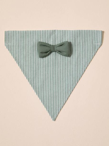 Bandana chien coton rayé vert sauge - vertbaudet enfant 