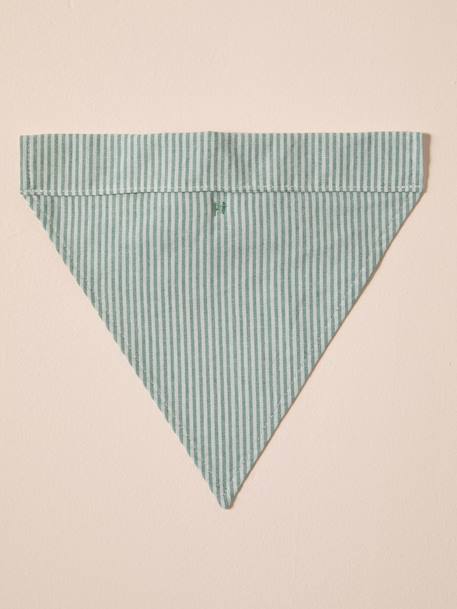 Bandana chien coton rayé vert sauge - vertbaudet enfant 