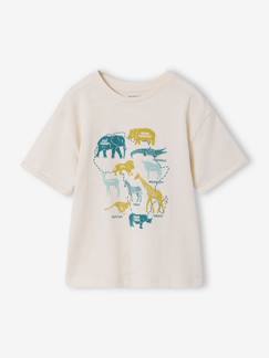 -T-shirt manches courtes garçon