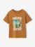 T-shirt manches courtes garçon bleu ciel+noix de pécan - vertbaudet enfant 