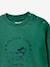 Sweat bébé doux menthe - vertbaudet enfant 