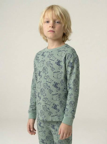 Pyjama garçon jungle vert sauge - vertbaudet enfant 