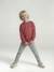 Sweater met ronde hals voor jongens met lange mouwen pastelgeel+rozenhout - vertbaudet enfant 
