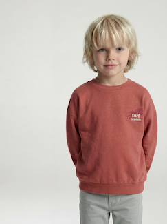 -Sweat col rond garçon manches lo