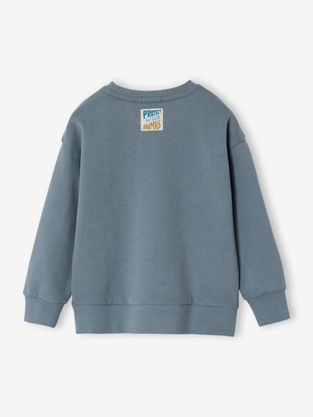 Sweater met ronde hals en lange mouwen grijsblauw - vertbaudet enfant 