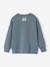 Sweater met ronde hals en lange mouwen grijsblauw - vertbaudet enfant 