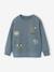 Sweater met ronde hals en lange mouwen grijsblauw - vertbaudet enfant 