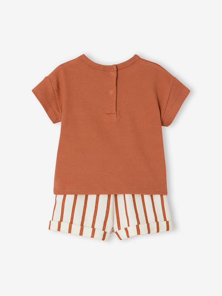 Ensemble short t-shirt à personnaliser noisette+vert sauge - vertbaudet enfant 