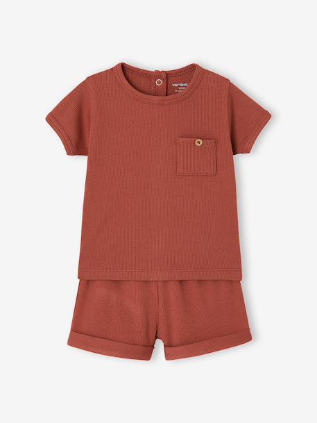 Lot 2 pyjashorts coton bio tomette - vertbaudet enfant 
