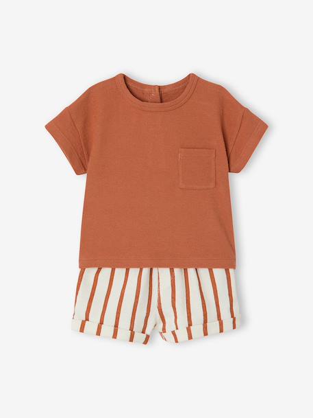 Ensemble short t-shirt à personnaliser noisette+vert sauge - vertbaudet enfant 